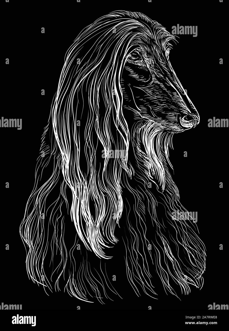 Dibujo a lápiz blanco y negro fotografías e imágenes de alta resolución -  Alamy