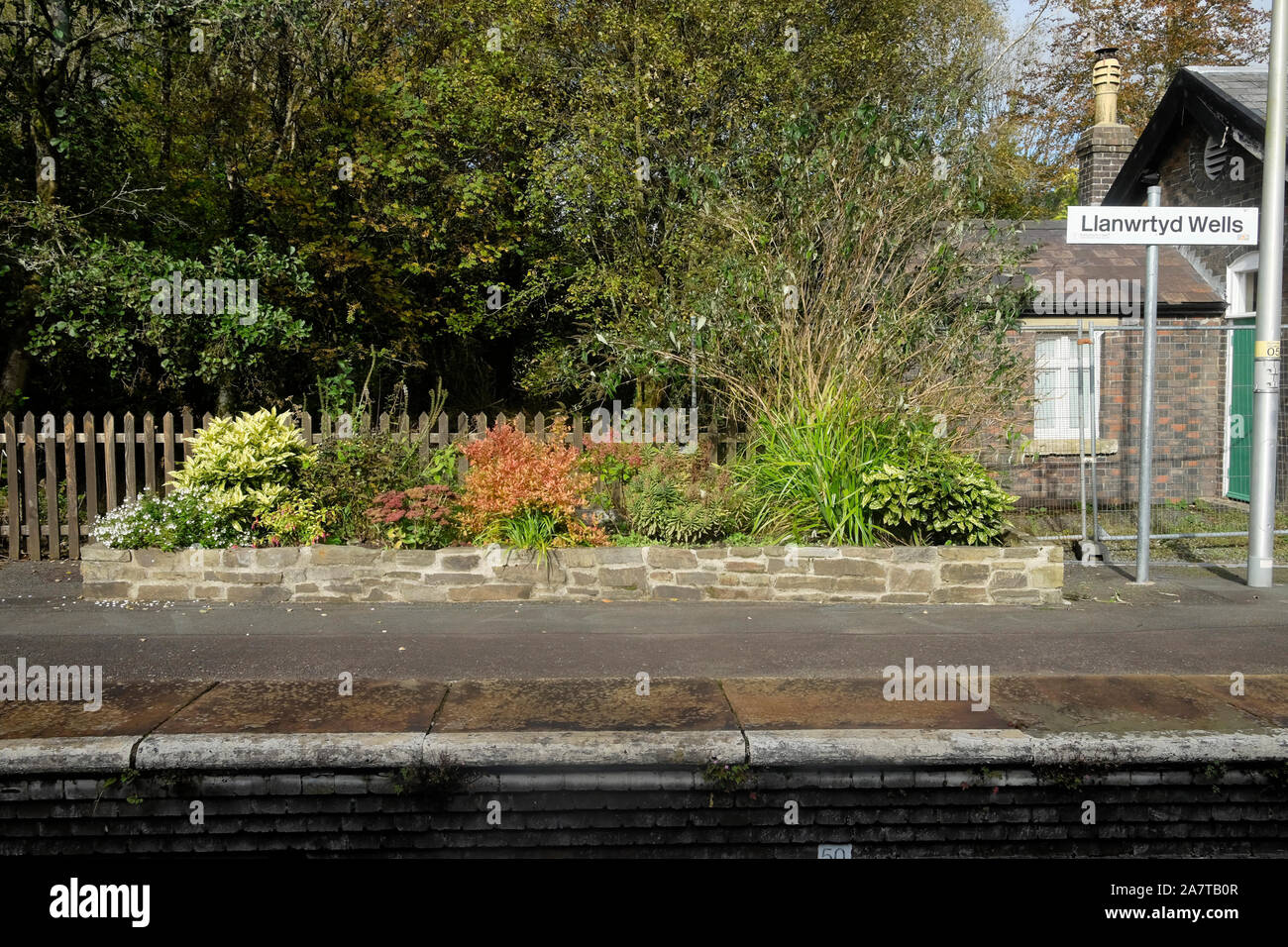 Vista de la estación en plantas de jardín cama levantada en el andén de la estación ferroviaria de Llanwrtyd Wells vista desde el tren en Powys, Gales, Reino Unido KATHY DEWITT Foto de stock