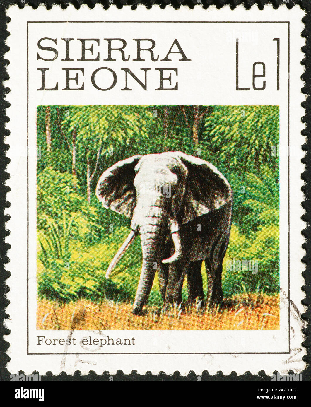 Elefante forestal en sello de Sierra Leona Foto de stock