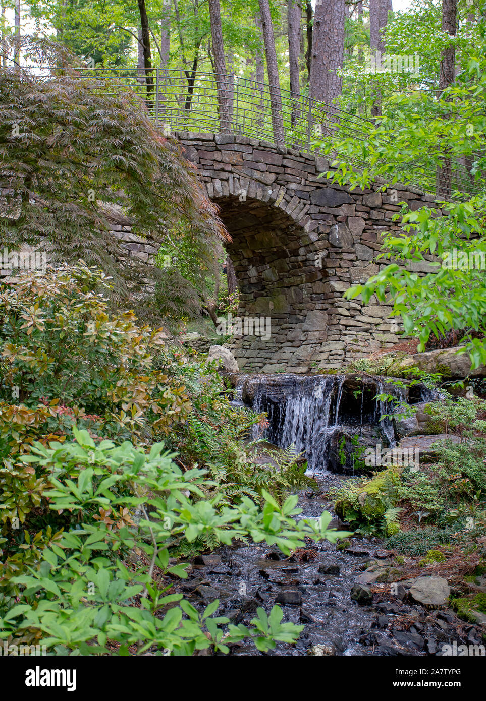Vista panorámica de un puente de piedra en las montañas Ozark en Arkansas Foto de stock