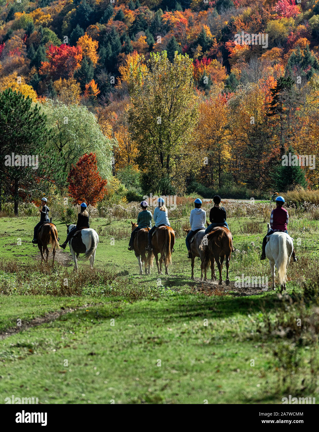 Grupo de excursión a caballo, Stowe, Vermont, EE.UU. Foto de stock