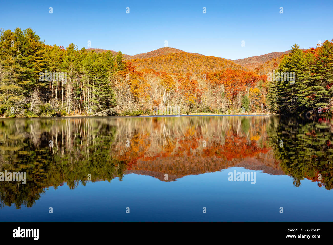 Reflejos de color en el otoño en Balsam Lake - Roy Taylor en el bosque Nantahala Nacional Forestal, Canadá, Carolina del Norte, EE.UU. Foto de stock