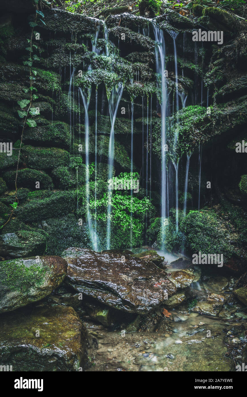 Una pequeña cascada en el bosque Foto de stock