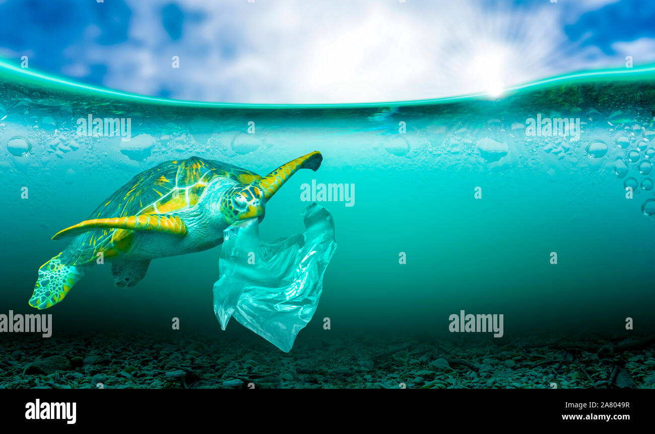 Contaminación plástica en los problemas del medio marino en el mar, los  animales no pueden vivir. Y causar contaminación plástica en el océano  (concepto medioambiental Fotografía de stock - Alamy