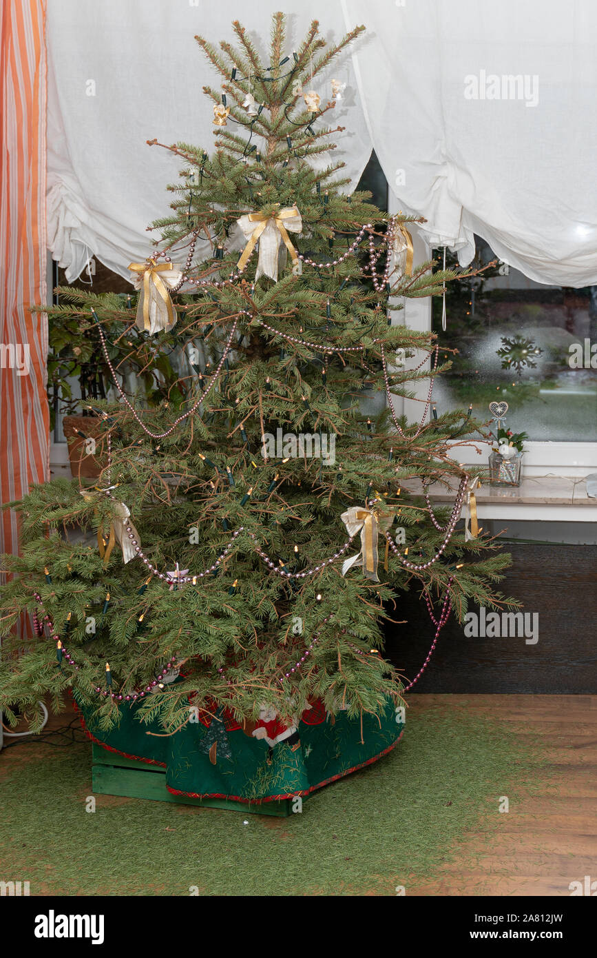 La Navidad es más, el verdadero árbol de Navidad deja las ramas colgantes.  Se cuelgan las decoraciones y las agujas están en el suelo. Tiempo para  hacer cosas nuevas Fotografía de stock -