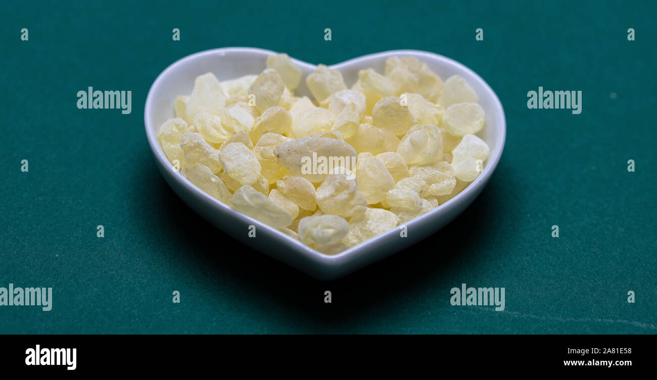 Masilla lágrimas de resina. Chios masilla en un recipiente blanco con