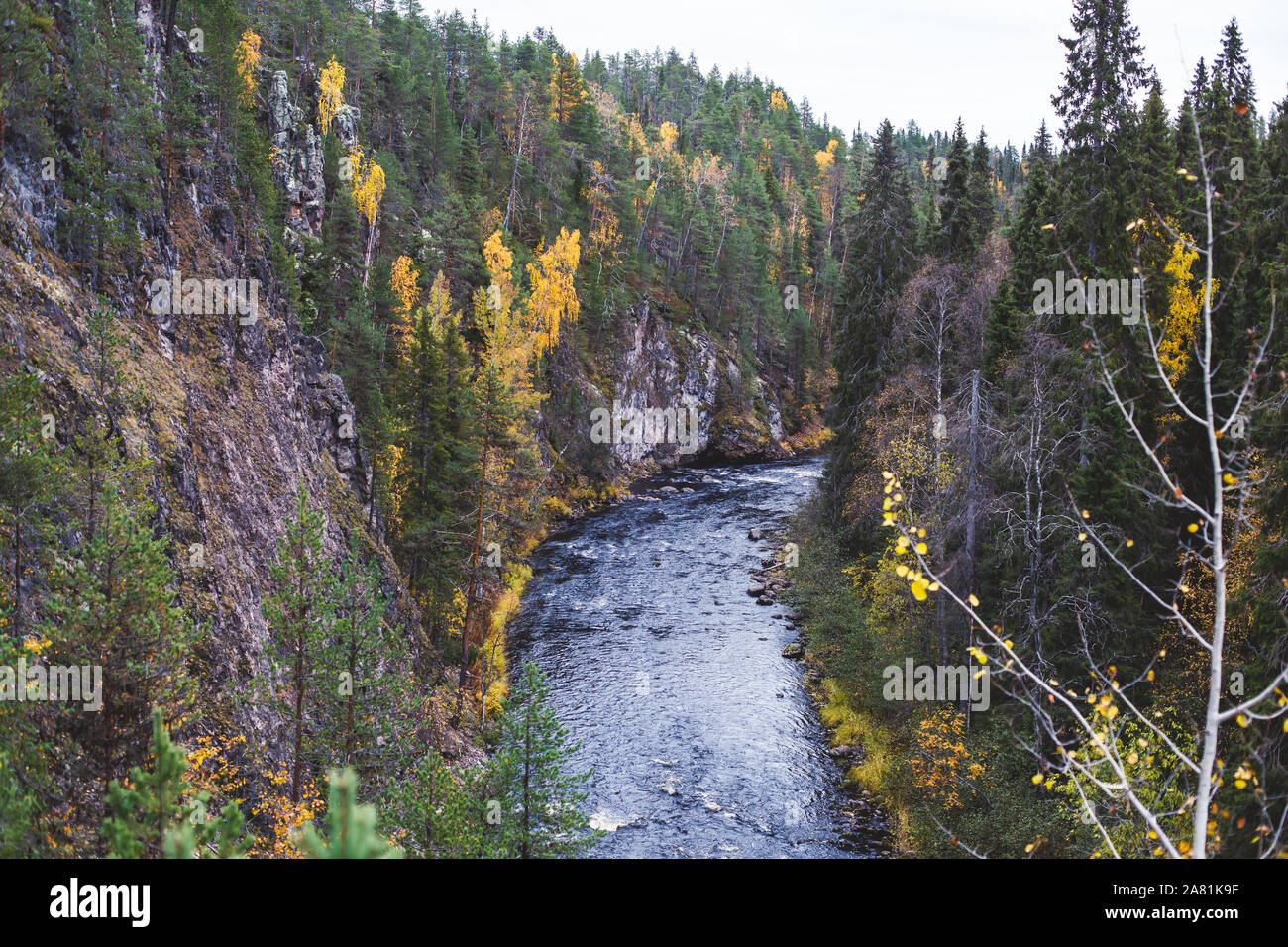 Otoño vista del Parque Nacional de Oulanka paisaje, durante la caminata, un parque nacional de Finlandia en el norte de Ostrobotnia y Laponia regiones de Finlandia Foto de stock