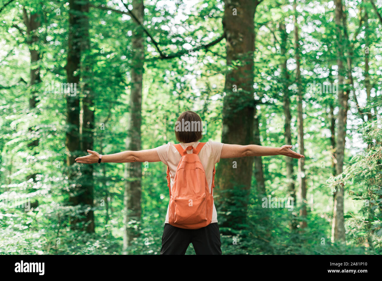 Excursionista hembra con una amplia propagación de manos en bosque, vista trasera de la mujer disfruta de actividad al aire libre Foto de stock