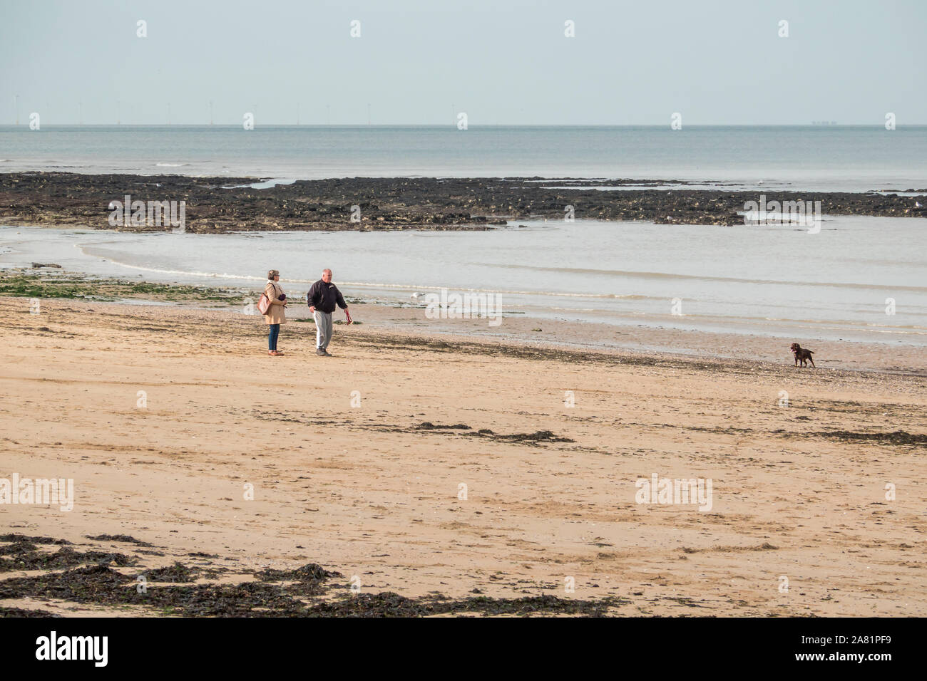 Pareja de mediana edad,paseando a un perro,en,Playa,otoño,Fuera de temporada,paseo al lado del mar,St Mildreds Bay,Thanet, Kent, Inglaterra Foto de stock