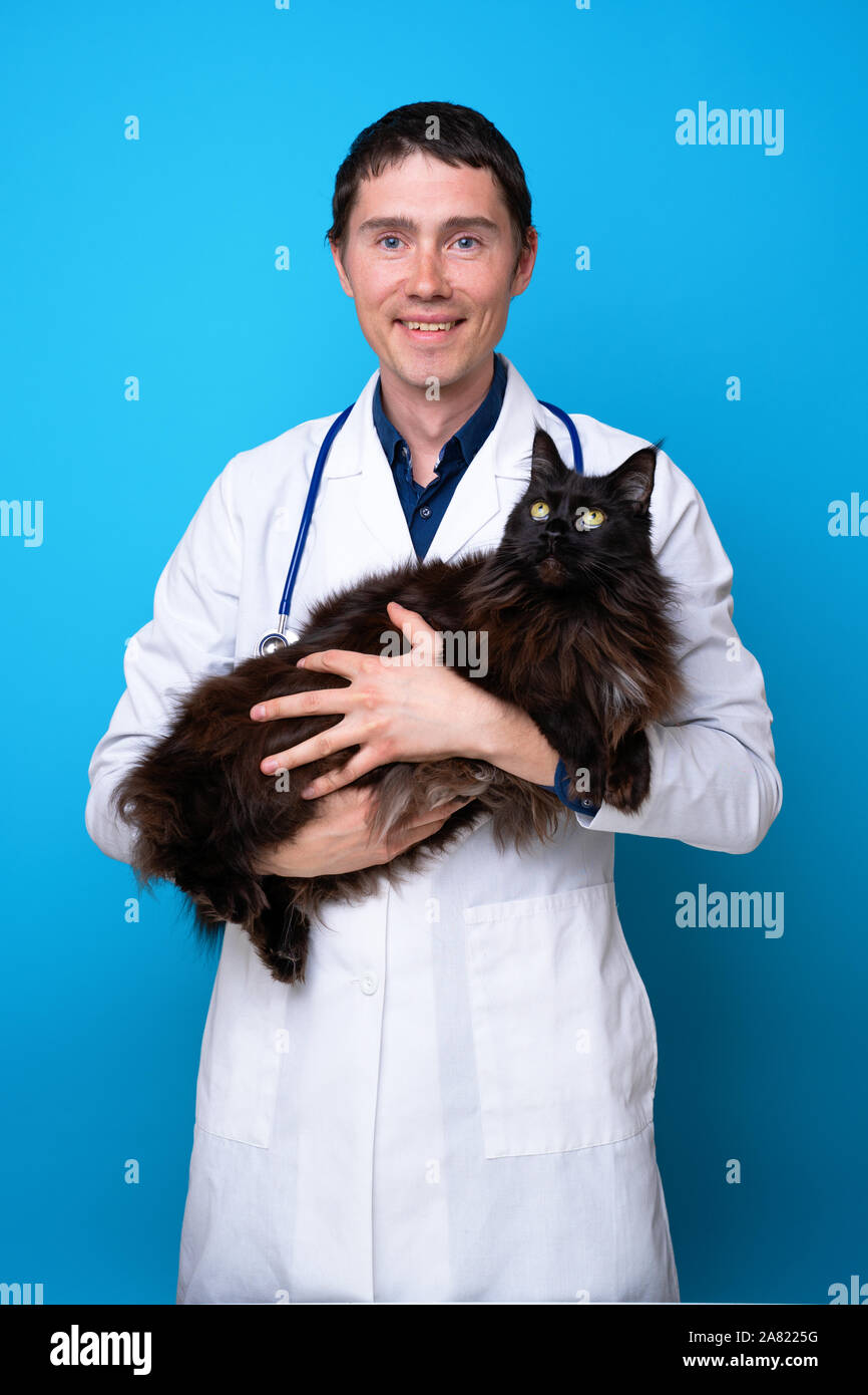 Brunet vet con gato negro en sus brazos sobre fondo azul vacía Foto de stock