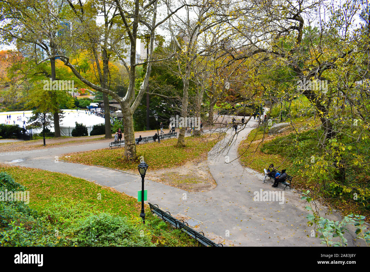 Nueva York, Estados Unidos. El 05 Nov, 2019. El follaje de otoño en Central Park de Nueva York el 5 de noviembre de 2019. (Foto por Ryan Rahman/Pacific Press) Crédito: Pacific Press Agency/Alamy Live News Foto de stock