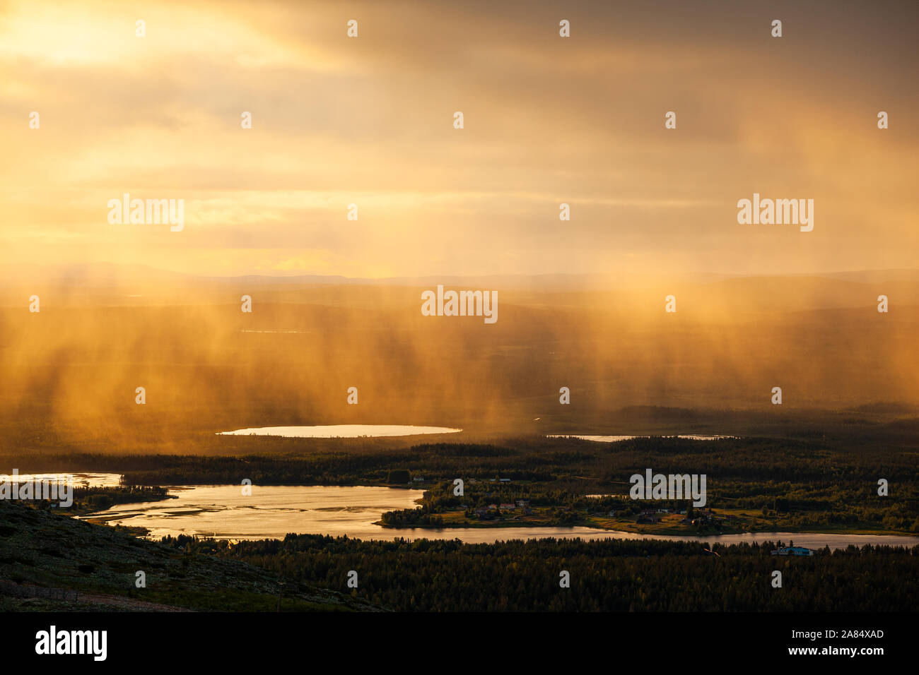 Levi Fotos E Imagenes De Stock Alamy