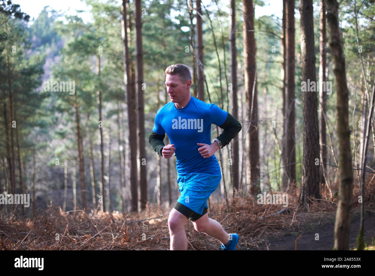 Hombre corriendo en pista en un soleado día de otoño woods Foto de stock