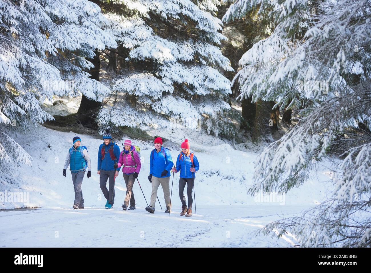 Familia caminatas en senderos de bosques nevados Foto de stock