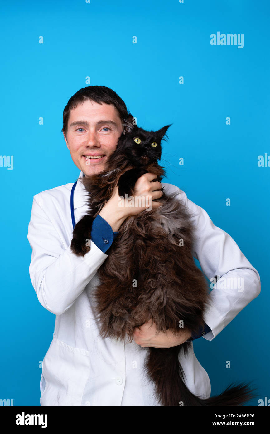 Macho feliz vet con gato negro en sus brazos sobre fondo azul vacía Foto de stock