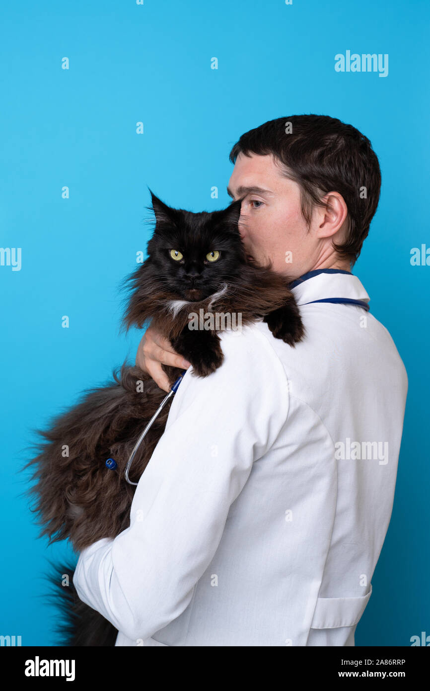 Brunet vet con gato negro en sus brazos sobre fondo azul vacía Foto de stock
