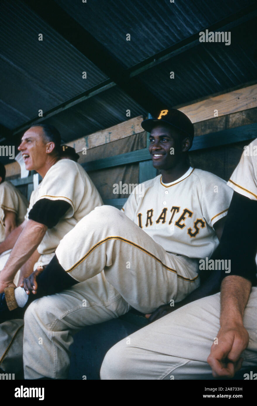 FORT Myers, FL - 7 de marzo: Roberto Clemente #21 de los Piratas de Pittsburgh sonríe como él se sienta en el banquillo durante un juego de entrenamiento de primavera de MLB en Marzo 7, 1957 en Terry Park en Fort Myers, Florida. (Foto por Hy Peskin) (número de registro: X4432) *** Local Caption *** Roberto Clemente Foto de stock
