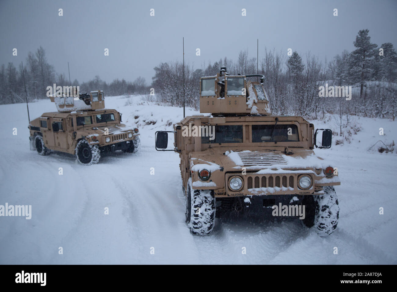 La Infantería de Marina de los EE.UU Anti-Armor combinado con la rotación de equipo marino Force-Europe 20.1, las Fuerzas Navales de Europa y África, se obtiene una posición táctica durante el ejercicio renos en Setermoen, Noruega, el 31 de octubre, 2019. Ejercicio Reno es un ejercicio de nivel de brigada con MRF-E y la Brigada del Ejército noruego Norte, centrado en la interoperabilidad y en formación de clima frío. MRF-E se centra en compromisos regionales en toda Europa mediante la realización de diversos ejercicios, frío ártico y montaña, capacitación en materia de guerra y militares-enfrentamientos militares, que potencian la interoperabilidad global de la U.S. Marine Corp Foto de stock