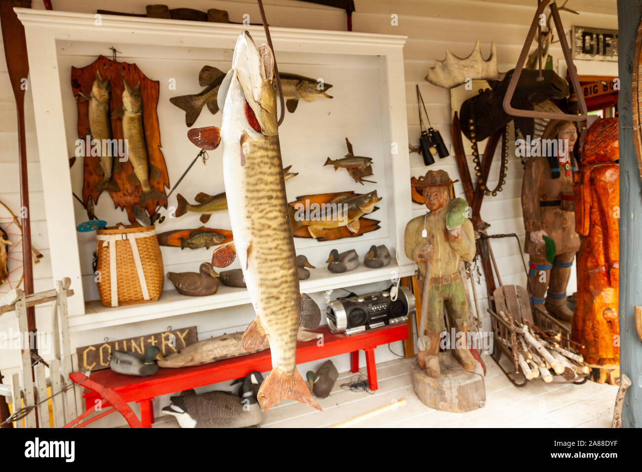 Tallado en madera y taxidermia and Muskie peces en una tienda de campo en la aldea de Northwoods Boulder Junction, Wisconsin. Foto de stock