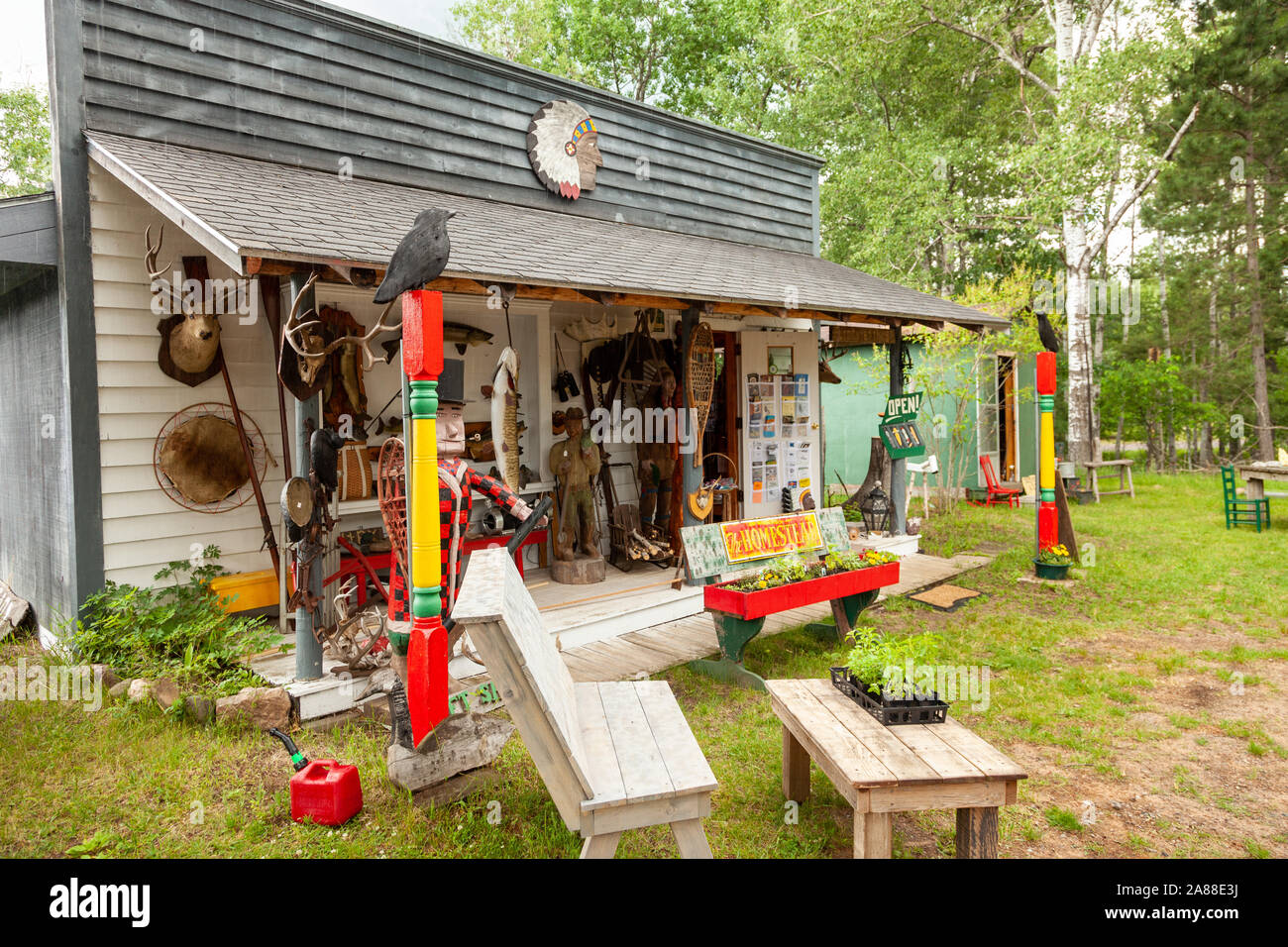 Tallado en madera y taxidermia and Muskie peces en una tienda de campo en la aldea de Northwoods Boulder Junction, Wisconsin. Foto de stock