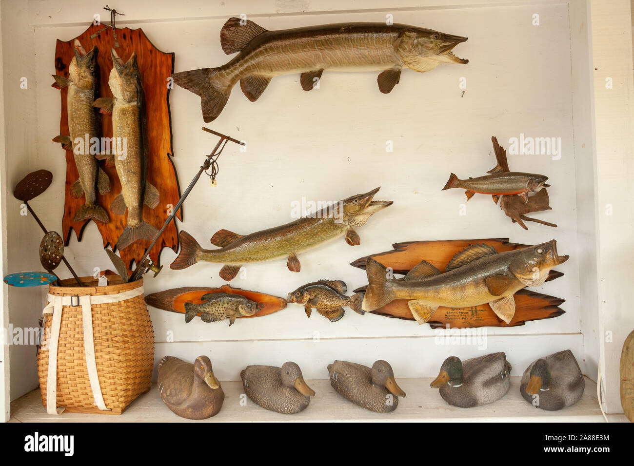 Tallado en madera y taxidermia and Muskie peces en una tienda de campo en la aldea de Northwoods Boulder Junction, Wisconsin. Foto de stock