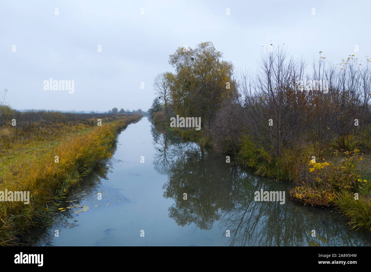 Un río de otoño en un día nublado, Ucrania Foto de stock