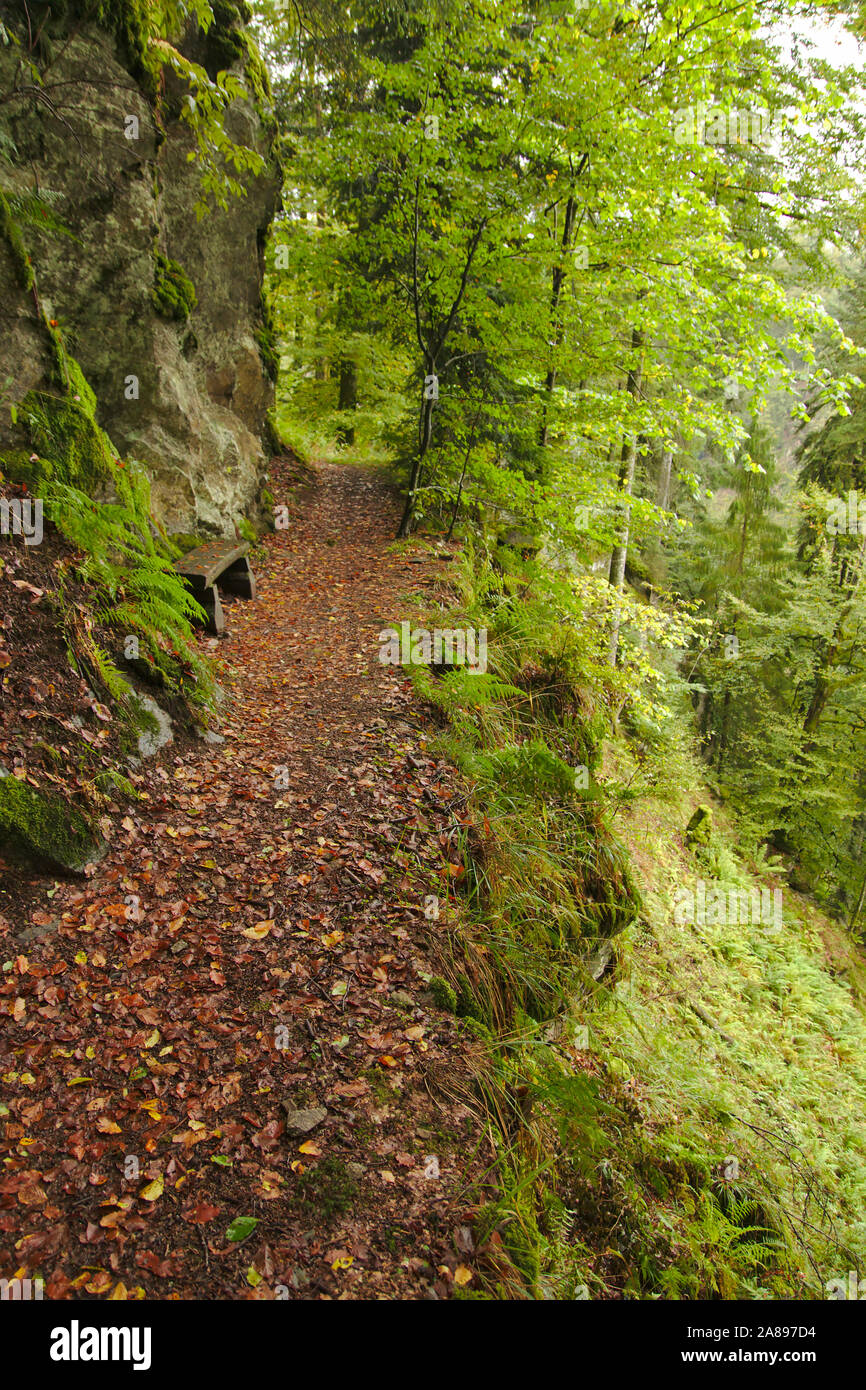 En ruta, Bannwald Wehraschlucht, otoño, Selva Negra, Alemania Foto de stock