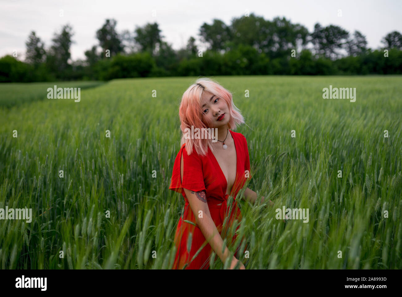 Mujer con cabello rosado vestido rojo en campo de trigo Foto de stock