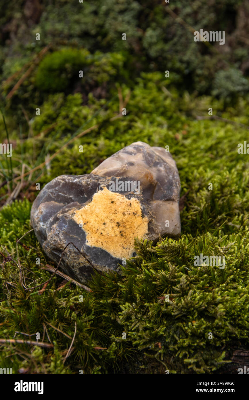 Verschieden farbiger Stein auf Moos Foto de stock