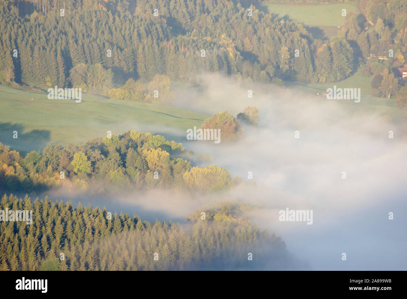 La niebla y el bosque de otoño, vista desde Buchberg cerca de Blumberg, otoño, Selva Negra, Alemania Foto de stock