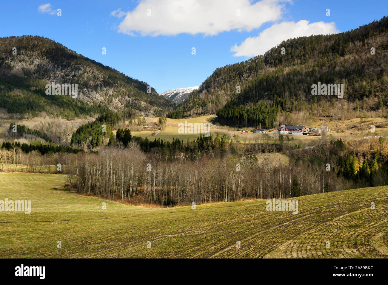 Los bosques de la región de los Fiordos Occidentales. El condado de Bergen, Noruega Foto de stock