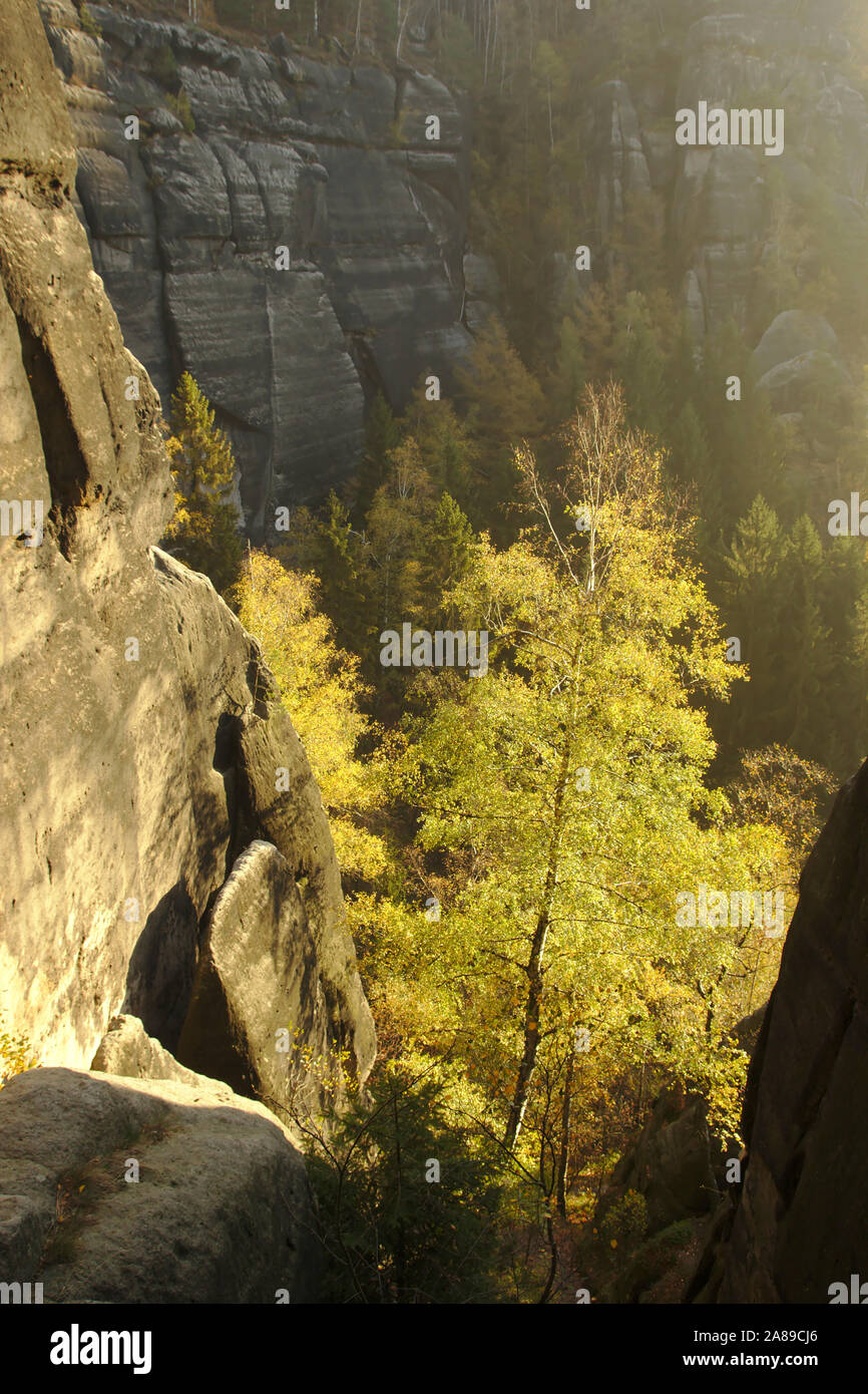La piedra arenisca y árboles en la luz de la mañana, Heilige Stiege, otoño, Sächsische Schweiz, Alemania Foto de stock