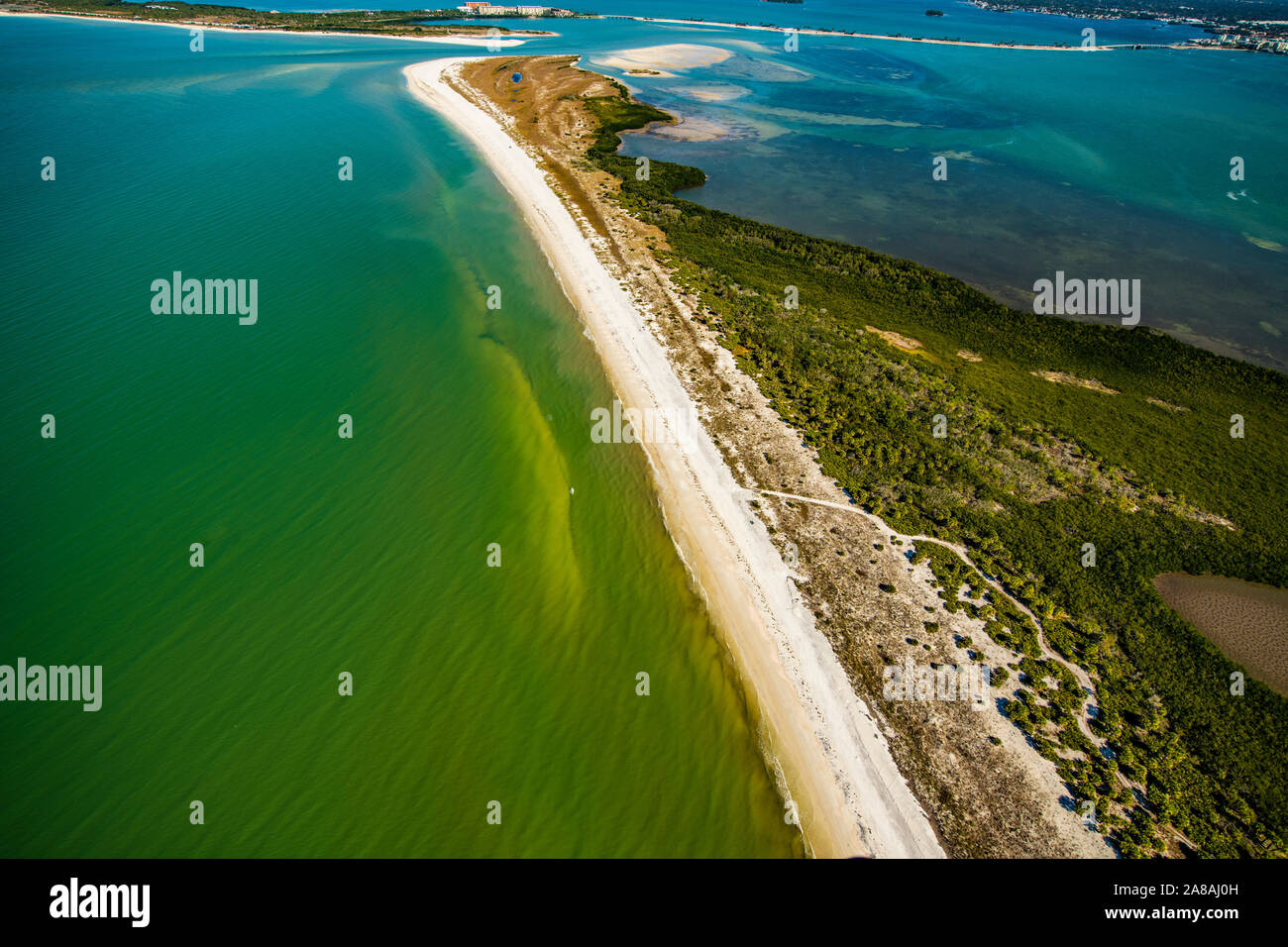 Caladesi y luna de miel, islas, parques estatales de la Florida. El suroeste de Florida, cerca de la playa de Clearwater Beach, el Golfo de México Foto de stock