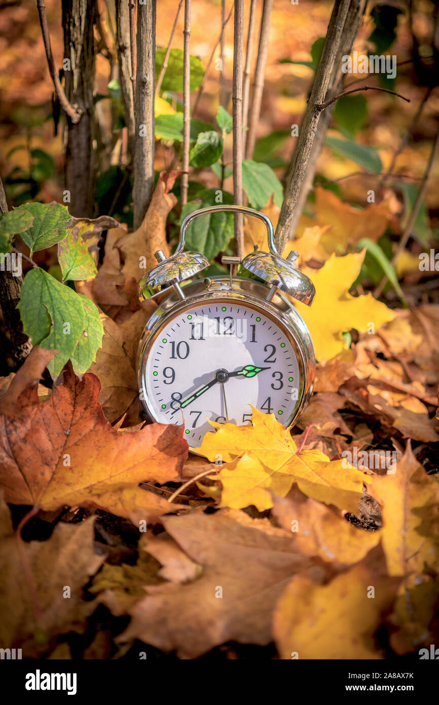 Un reloj de alarma en medio de coloridas hojas de otoño, finales de verano daylight saving time / Concepto Foto de stock