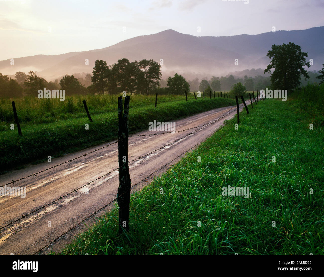 Road y cerca de alambre de púas en el paisaje con montañas en segundo plano. Foto de stock