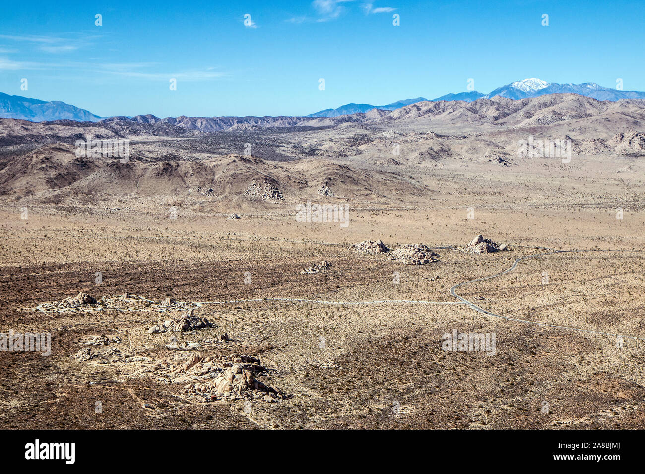 La vista horizontal de Josué los árboles en el Parque Nacional Joshua Tree National Park (California). Foto de stock