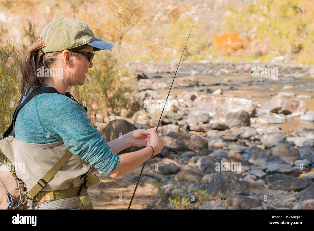 Una mujer prepara su caña de pescar con una línea y un gancho que ella  dirige en la Poudre río para una tarde de pesca Fotografía de stock - Alamy