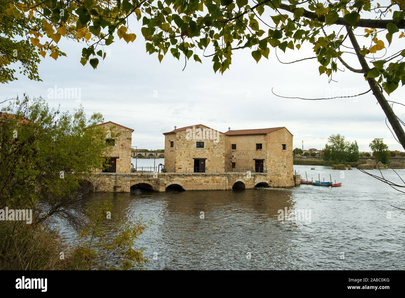 Antiguo molino harinero sobre el río Duero, Zamora, España Foto de stock