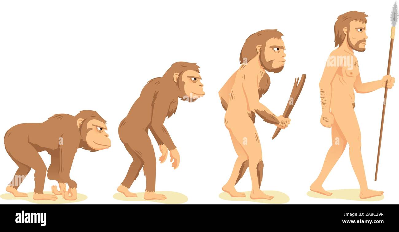 La evolución humana del mono al hombre, con la APE, aborígenes y hombres  ilustración vectorial de dibujos animados Imagen Vector de stock - Alamy