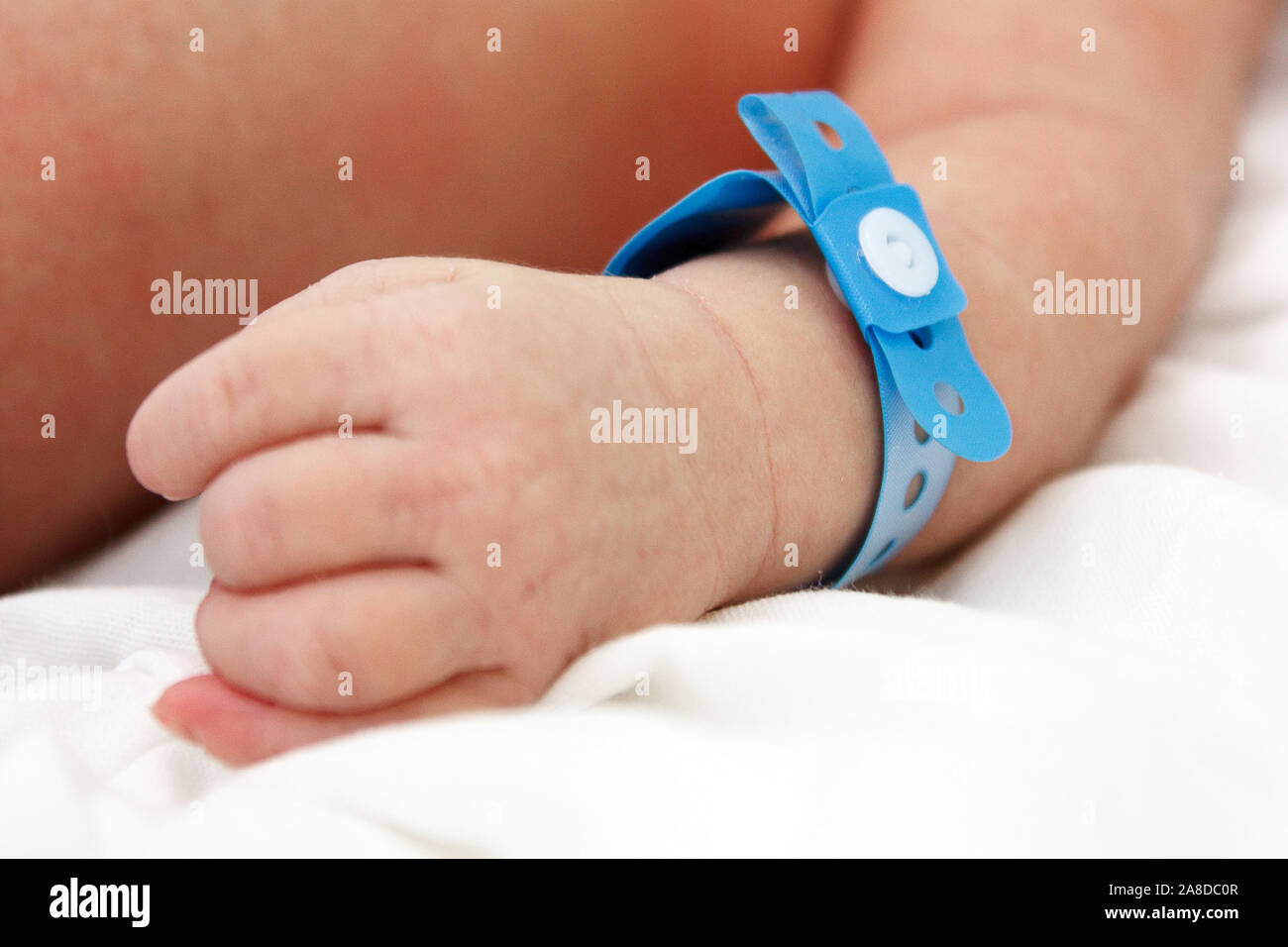 El mango de un bebé recién nacido con etiqueta azul. Hospital de centro perinatal, la maternidad Fotografía de stock - Alamy