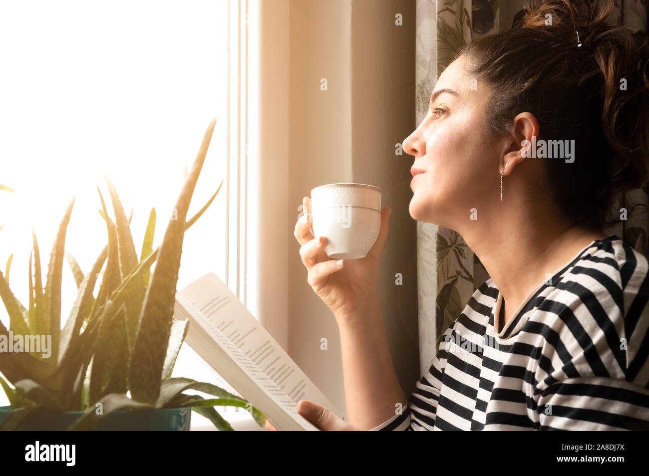 Retrato de un adulto morena encantadora mujer vistiendo ropa casual leyendo un libro y beber café o té en la casa cerca de la ventana. Soñar co Foto de stock