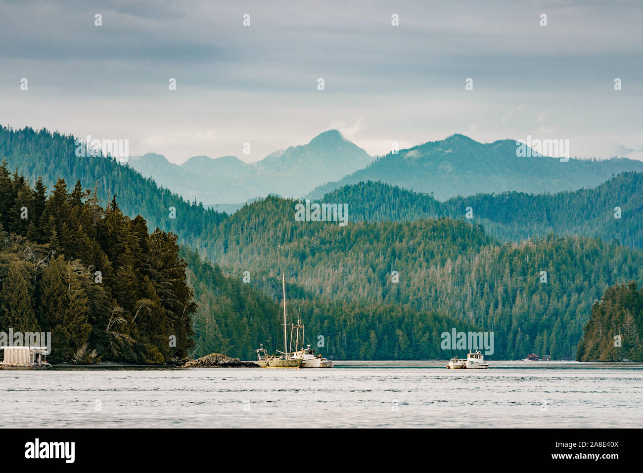 Tofino Harbor, en la isla de Vancouver. British Columbia, Canadá Foto de stock