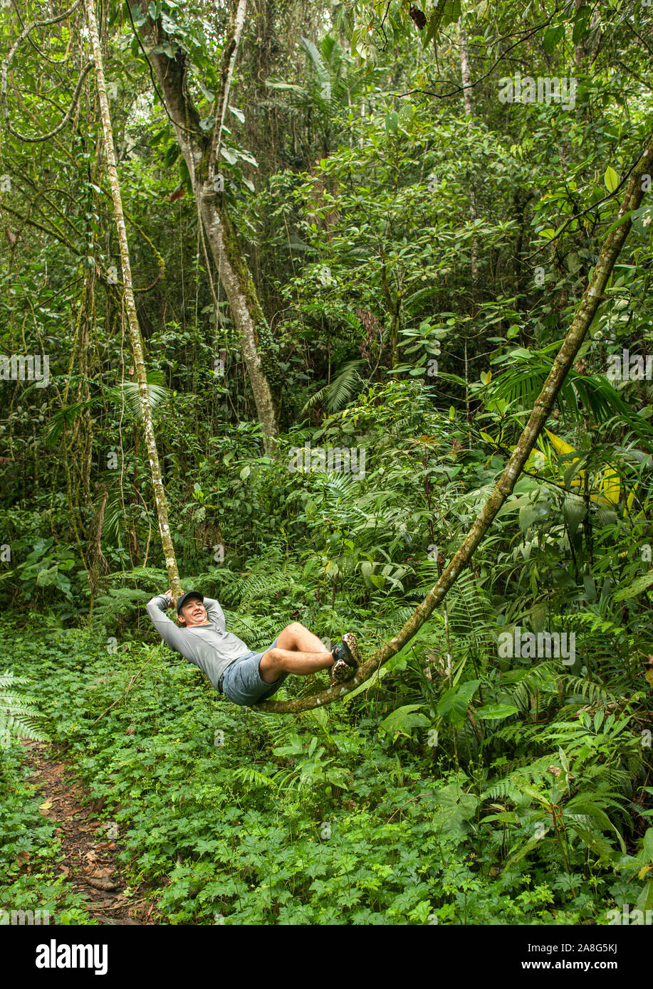 Hombre descansando sobre una viña en la región Pichinde del Parque Nacional Natural Los Farallones de Cali en el departamento del Valle del Cauca, Colombia. Foto de stock