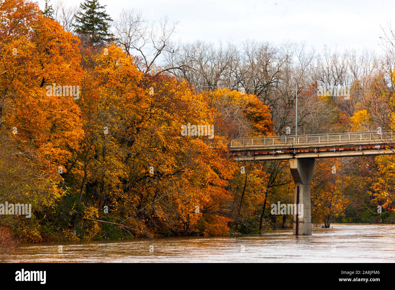 La Madre Naturaleza en pantalla completa como árboles en el sudoeste de Ontario, Canadá la señal del cambio de estaciones de verano a otoño. Foto de stock