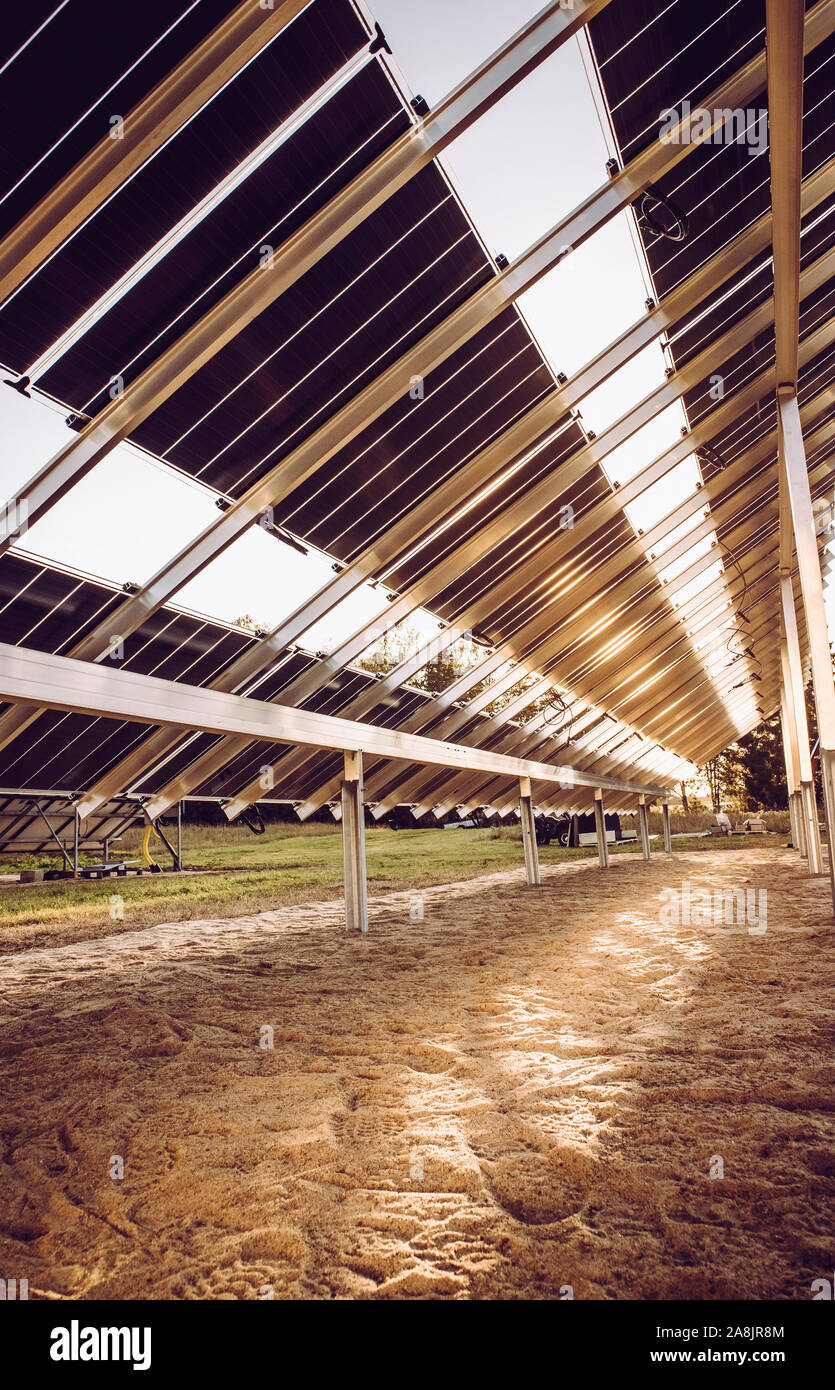 Vista lateral de abajo arriba Volver a dos caras del campo de paneles solares en el año 2019, construir nuevas plantas productoras de electricidad solar en el campo en la naturaleza, en el norte de Europa. B Foto de stock