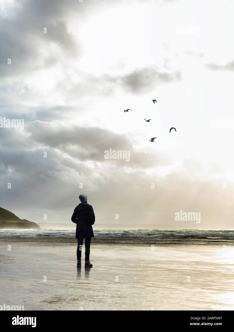 Ilustración de una sola cifra de pie en una playa frente al mar, mirando a un grupo de gaviotas contra el sol vespertino, adecuado para una portada del libro. Foto de stock