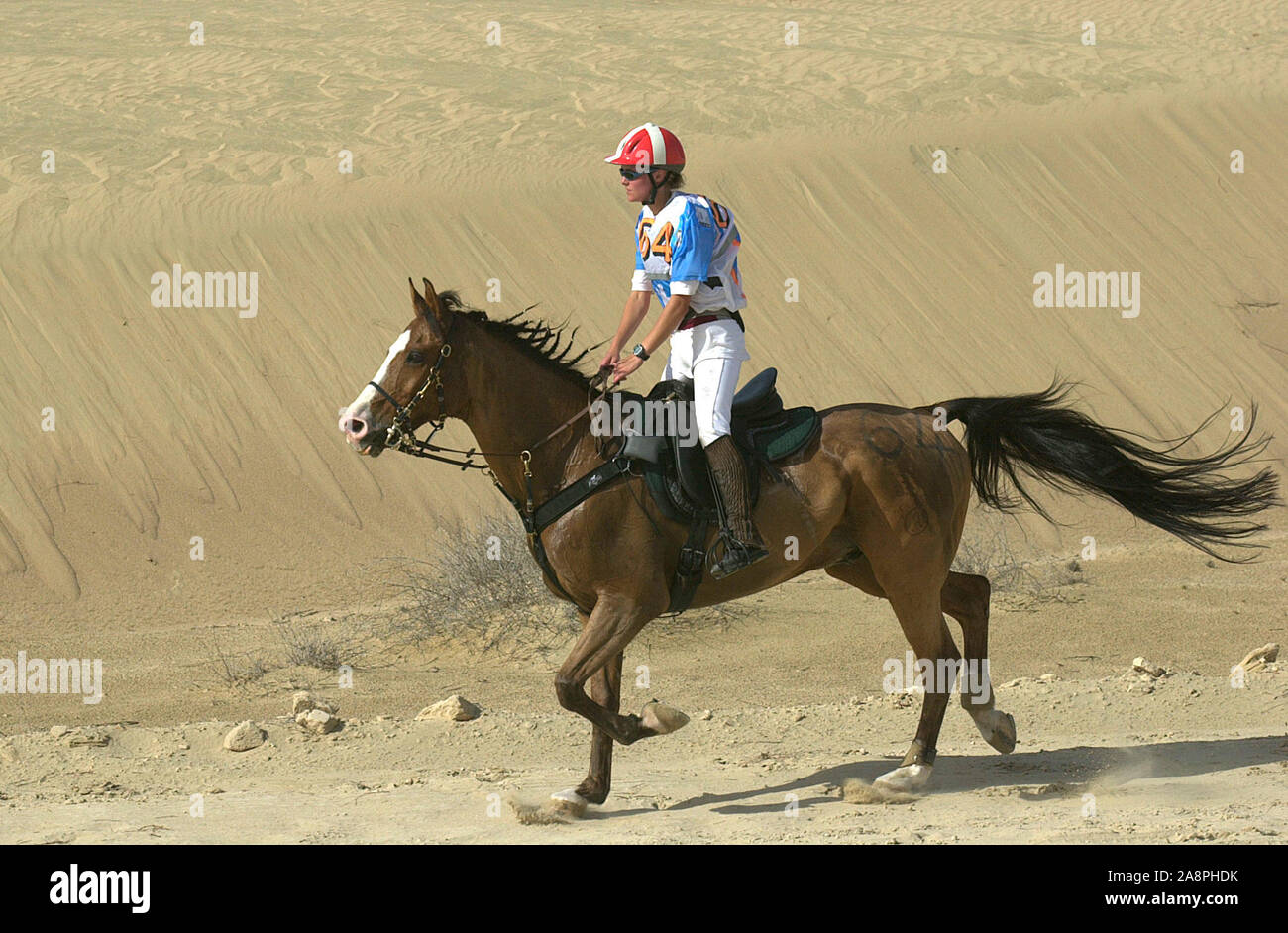 FEI Copa Mundial de resistencia de los EAU CEI **** 130Km 2002, Johanne Hvid (DEN) caballo Tempo F4 Foto de stock