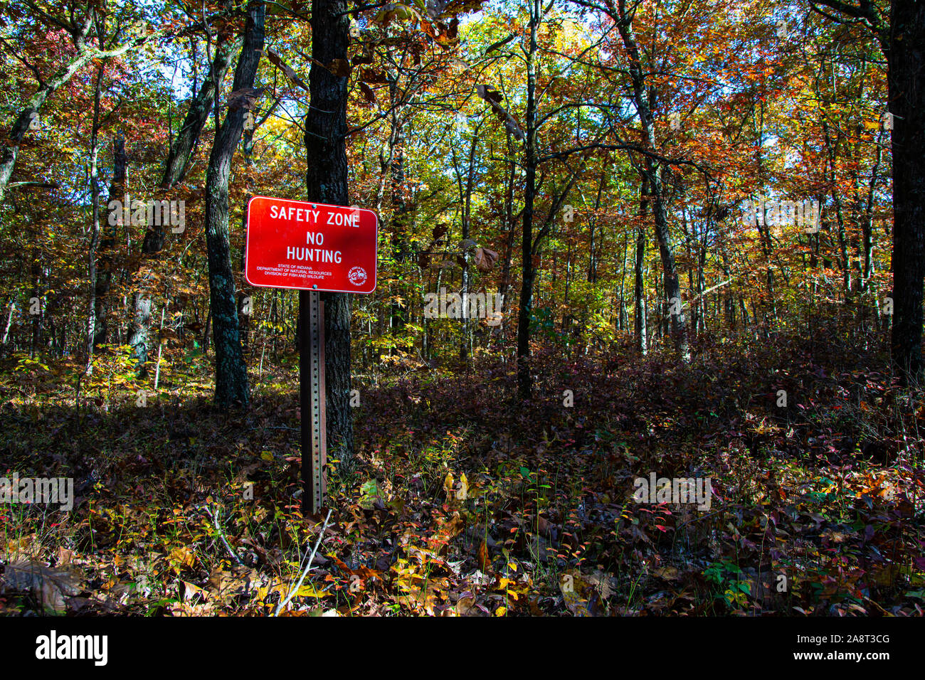 Prohibido la caza fotografías e imágenes de alta resolución Alamy