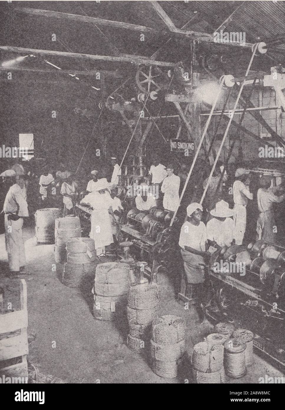 Cuerda de sisal en la fábrica de la British West Indies de 1930. Foto de stock