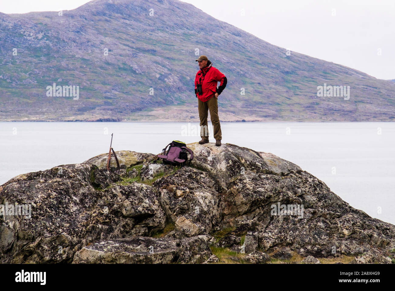 Tour líder masculino con un rifle se situó en el punto alto en busca de osos polares para proteger a los turistas que visitan Hvalsoy, Kujalleq, Qaqortoq, Groenlandia Foto de stock
